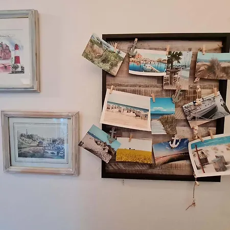 - Fehamore Bojendorf