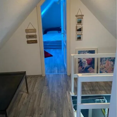 - Fehamore * Bojendorf