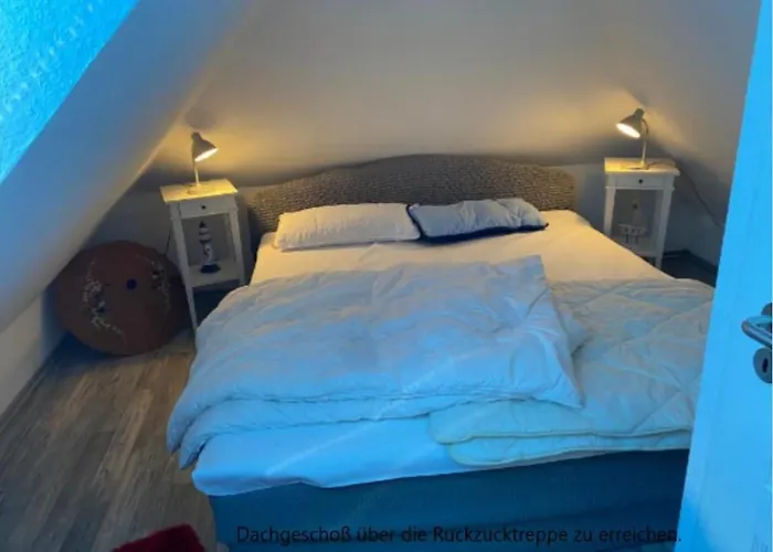 - Fehamore Casa de Férias *